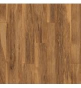 Hickory Appalachian