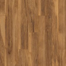 Hickory Appalachian